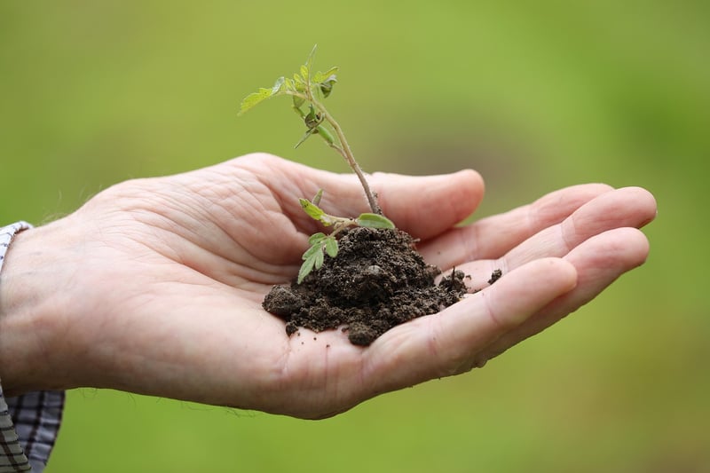 Fall planting